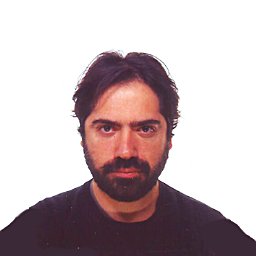 Assoc. Prof. Dr. Andrea Falegnami